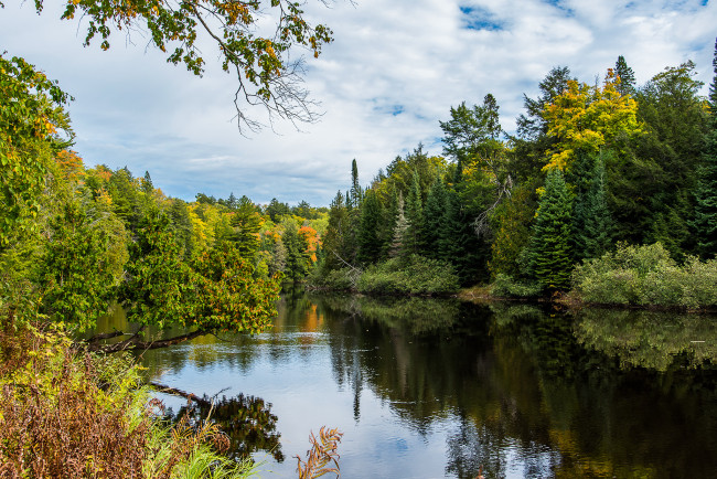 Обои картинки фото природа, реки, озера, река, лес