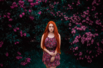 Картинка девушка девушки -unsort+ рыжеволосые+и+другие модель