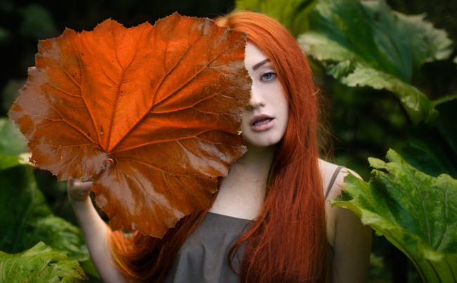 Обои картинки фото девушка, девушки, -unsort , рыжеволосые и другие, модель