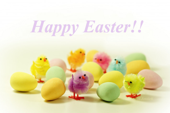 Обои картинки фото праздничные, пасха, цыплята, яйца