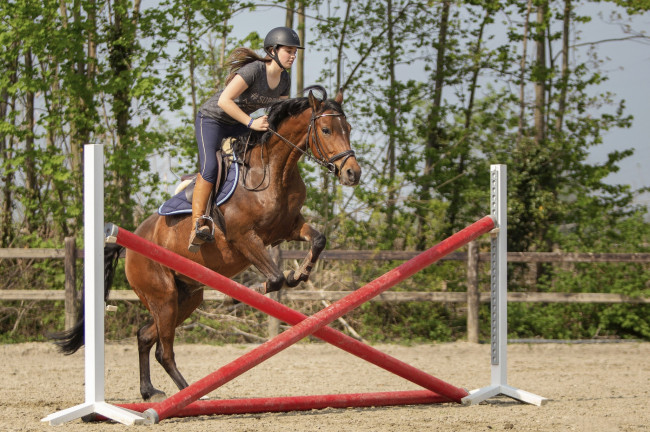 Обои картинки фото спорт, конный спорт, всадница