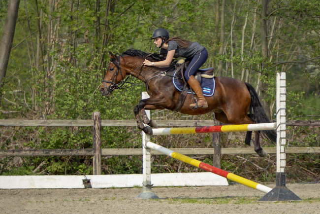 Обои картинки фото спорт, конный спорт, всадница
