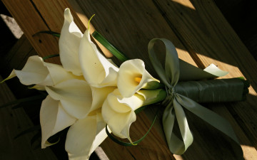 Картинка цветы каллы coffee