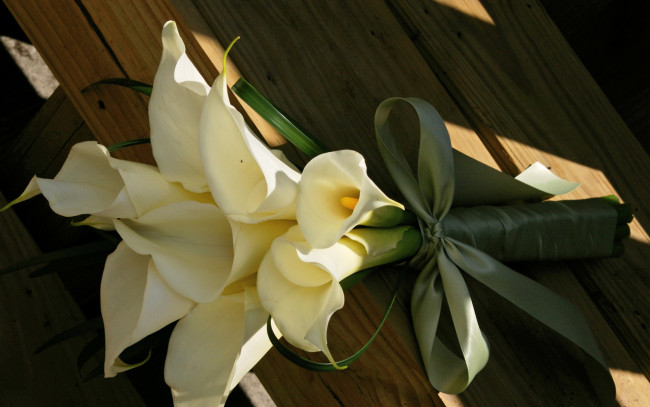 Обои картинки фото цветы, каллы, coffee