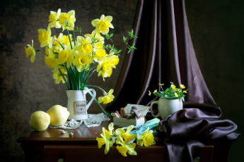 Картинка еда натюрморт ракушки нарциссы