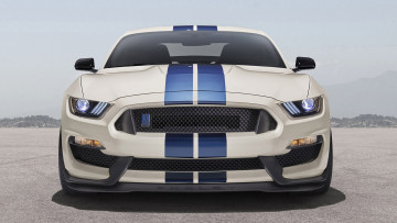 Картинка ford+mustang+2020 автомобили ford mustang gt shelby gt500 легендарный американский исполин породистый конь