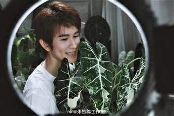 Картинка мужчины zhu+zanjin актер цветок