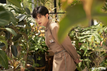 обоя zheng fanxing, мужчины, zheng fan xing, актер, пиджак, сад