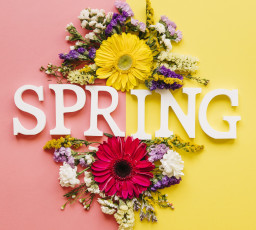 Картинка цветы букеты +композиции композиция