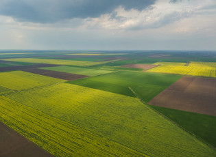 Картинка природа поля поле