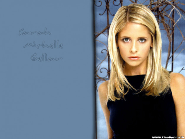 Обои картинки фото Sarah Michelle Gellar, сара, мишель, гелар, девушки