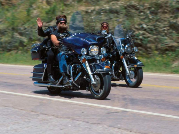 Обои картинки фото bratwa, мотоциклы, harley, davidson