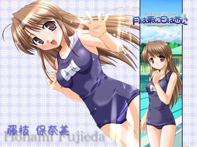 Обои картинки фото аниме, hani, operation, sanctuary