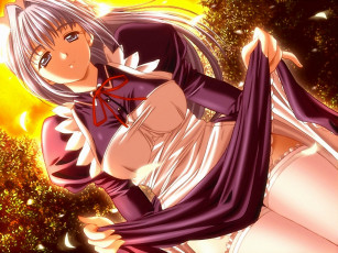 Картинка аниме *unknown другое