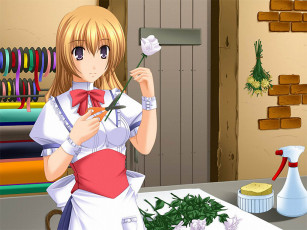 Картинка аниме *unknown другое