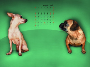 обоя календари, животные