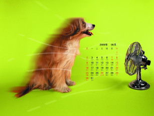 обоя календари, животные