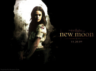 Картинка кино фильмы the twilight saga new moon