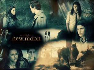 Картинка кино фильмы the twilight saga new moon