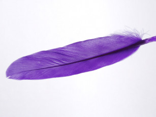 Картинка разное перья