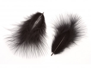 Картинка разное перья