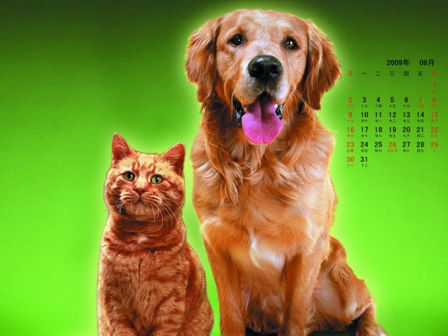 Обои картинки фото календари, животные