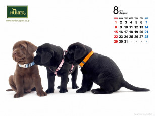 Картинка бренды hunter