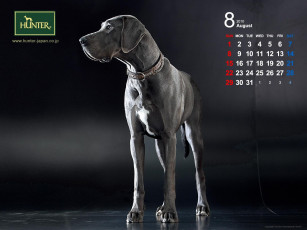 Картинка бренды hunter