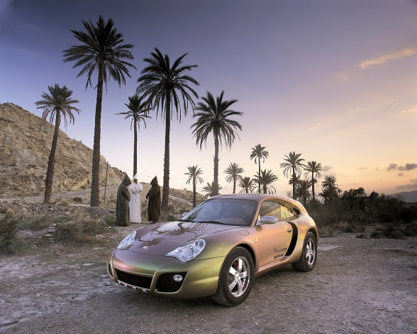 Обои картинки фото автомобили, rinspeed