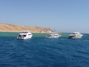 Картинка корабли разные вместе море яхты песчаный остров