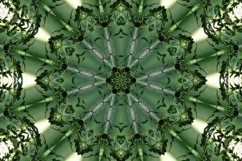 Картинка 3д графика fractal фракталы фрактал