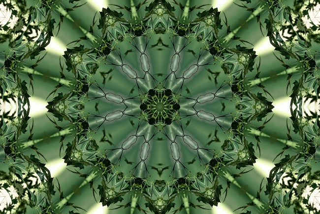 Обои картинки фото 3д, графика, fractal, фракталы, фрактал