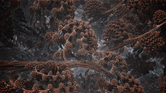 Обои картинки фото 3д, графика, fractal, фракталы, фон, цвета, узор