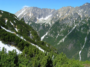 Картинка польша буковина татшаньская природа горы лес