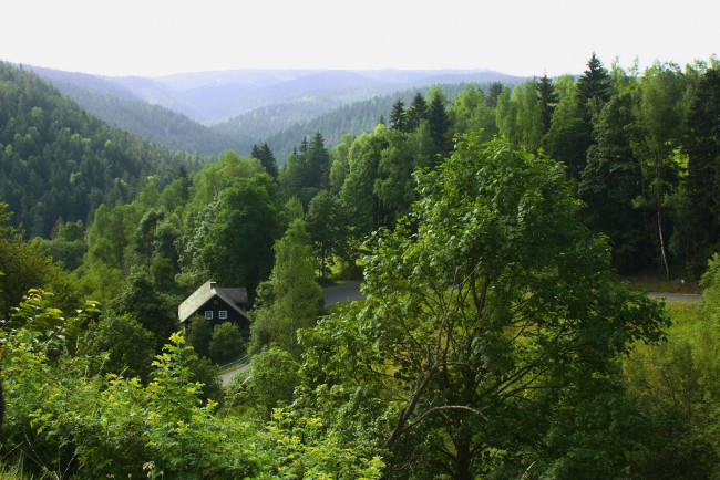 Обои картинки фото природа, лес, горы, избушка