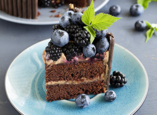 Картинка еда торты голубика ежевика