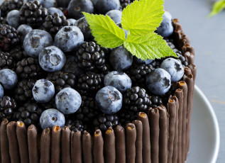 обоя еда, торты, голубика, ежевика