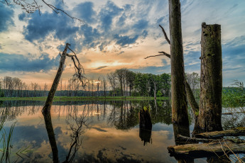 Картинка природа реки озера лес река облака