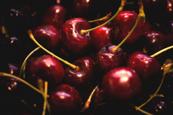 Картинка еда вишня +черешня