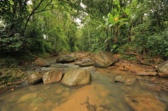 Картинка природа реки озера лес ручей валуны