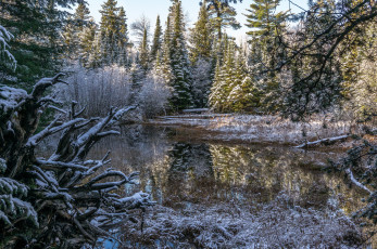 Картинка природа реки озера лес река