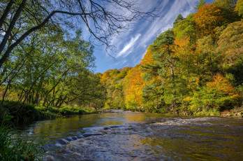 Картинка природа реки озера река лес