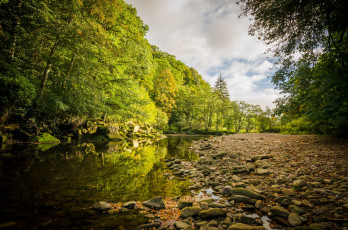 Картинка природа реки озера река лес