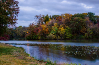 Картинка природа реки озера река лес