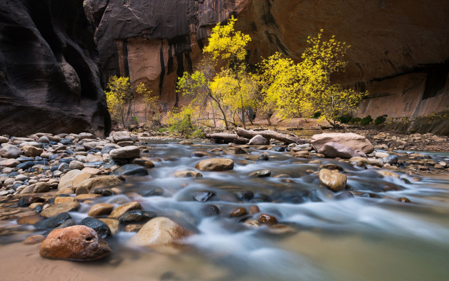 Обои картинки фото природа, реки, озера, поток, деревья, камни