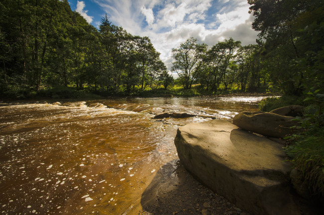 Обои картинки фото природа, реки, озера, река, лес