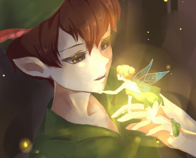 Картинка аниме животные +существа misamisa светлячки tinkerbell арт крылья фея парень peter pan