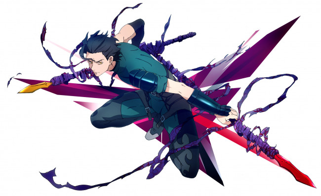 Обои картинки фото аниме, fate, zero, арт, судьба, начало, копейщик, лансер, парень, белый, фон, оружие, копьё