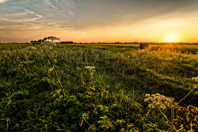 Обои картинки фото природа, восходы, закаты, рассвет