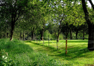 Картинка природа дороги тракт